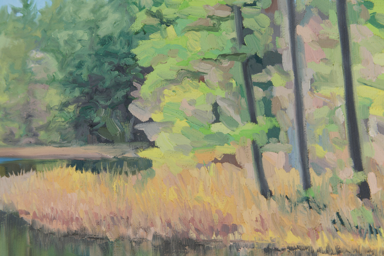 Back Woods