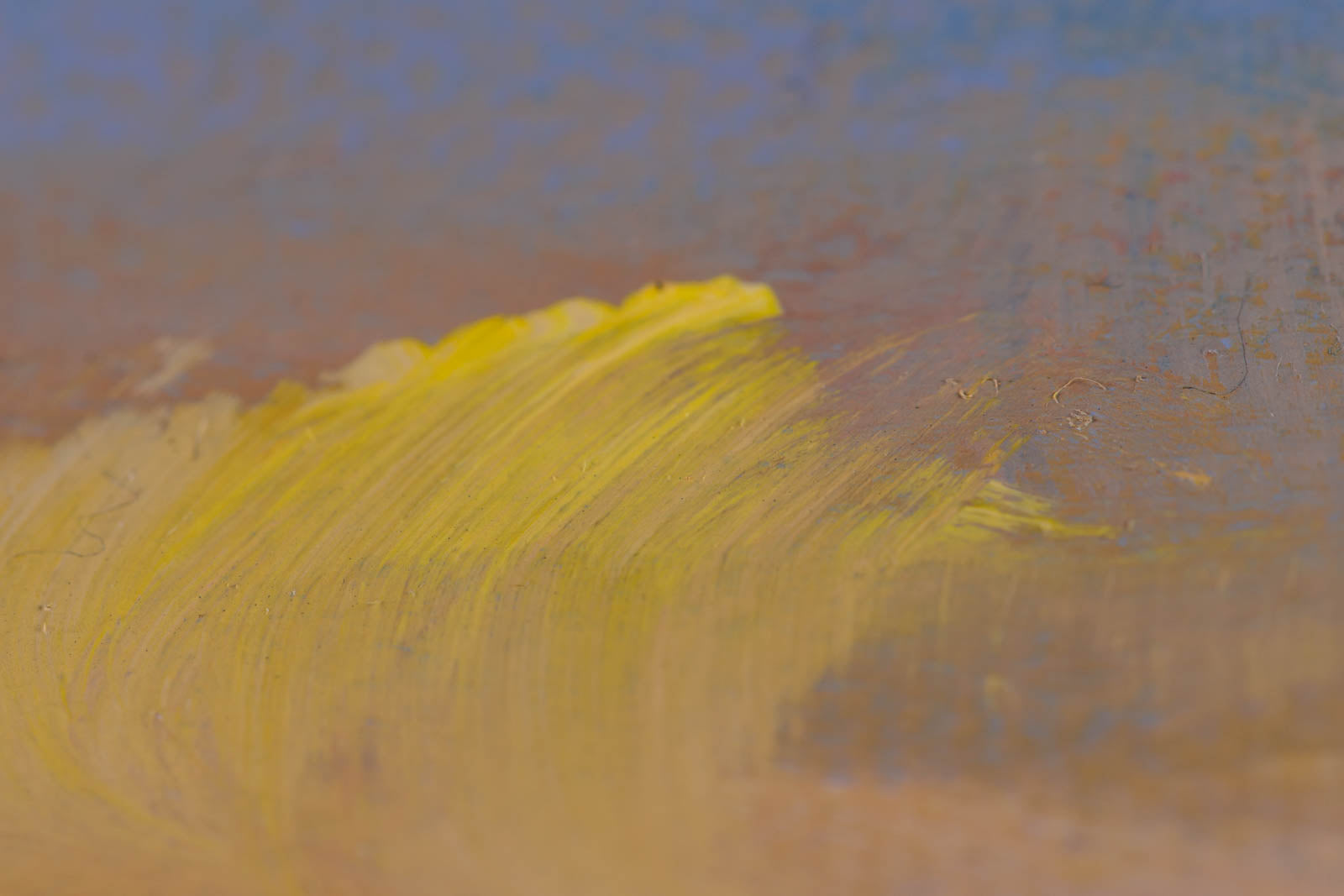 Rose Mist Over The Rocks