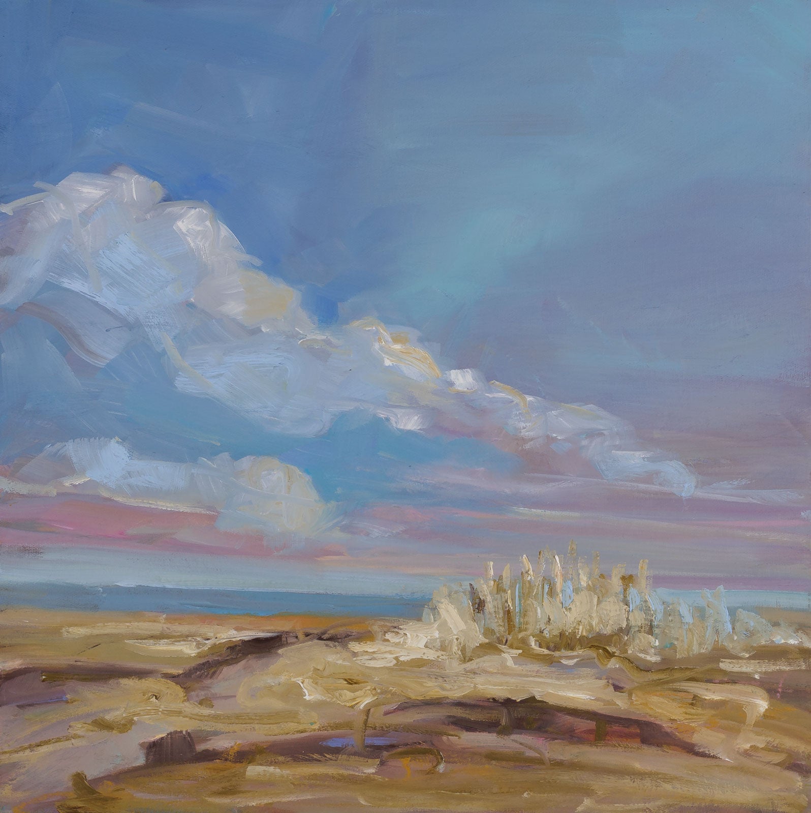 Grasses In The Distance