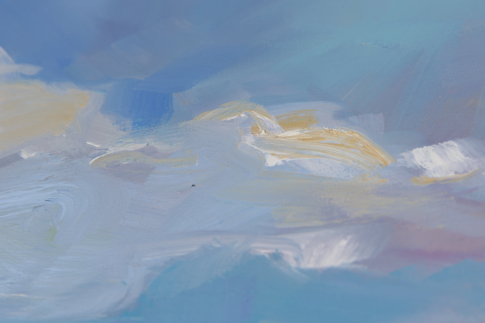 Grasses In The Distance