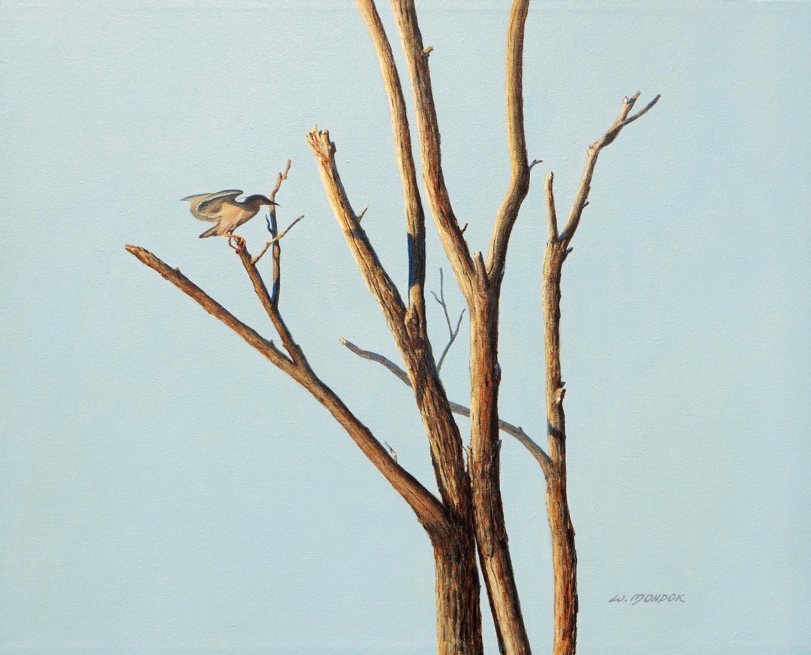 Birds “Black Crowned Night Heron” by Wayne Mondok – acrylic on canvas.