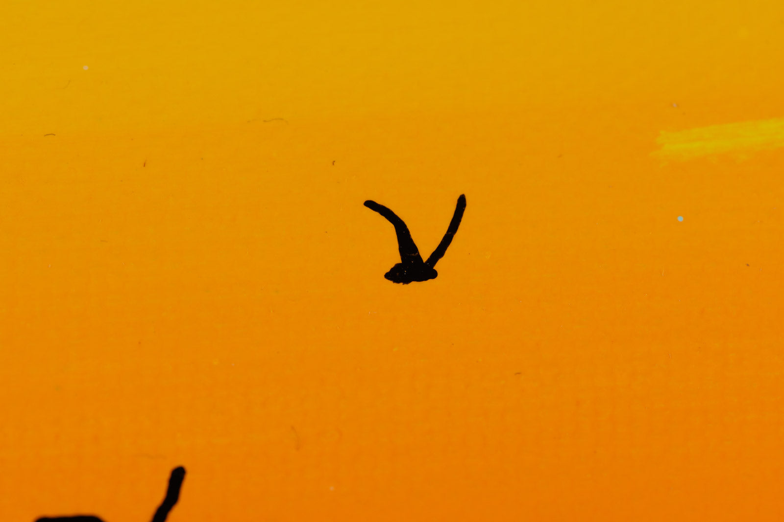 Lakeshore Sunset IV