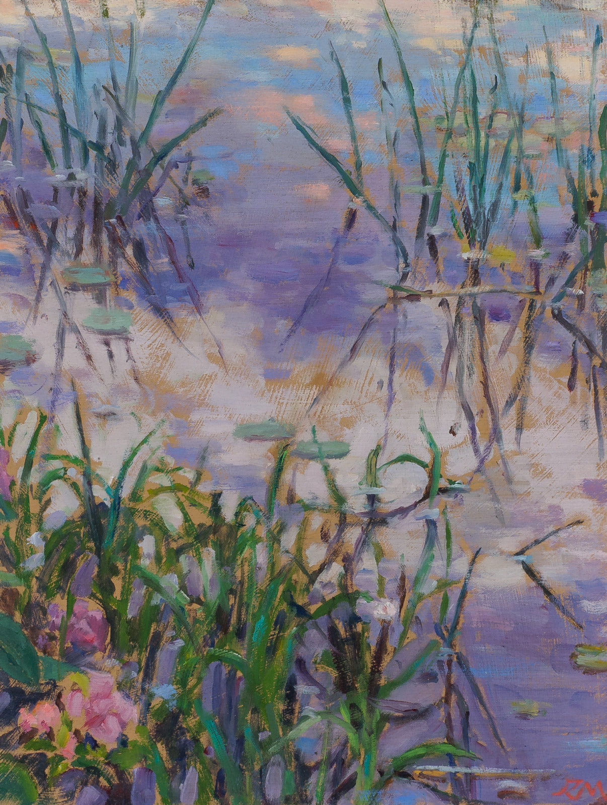 Joncs, Lac D'Argent