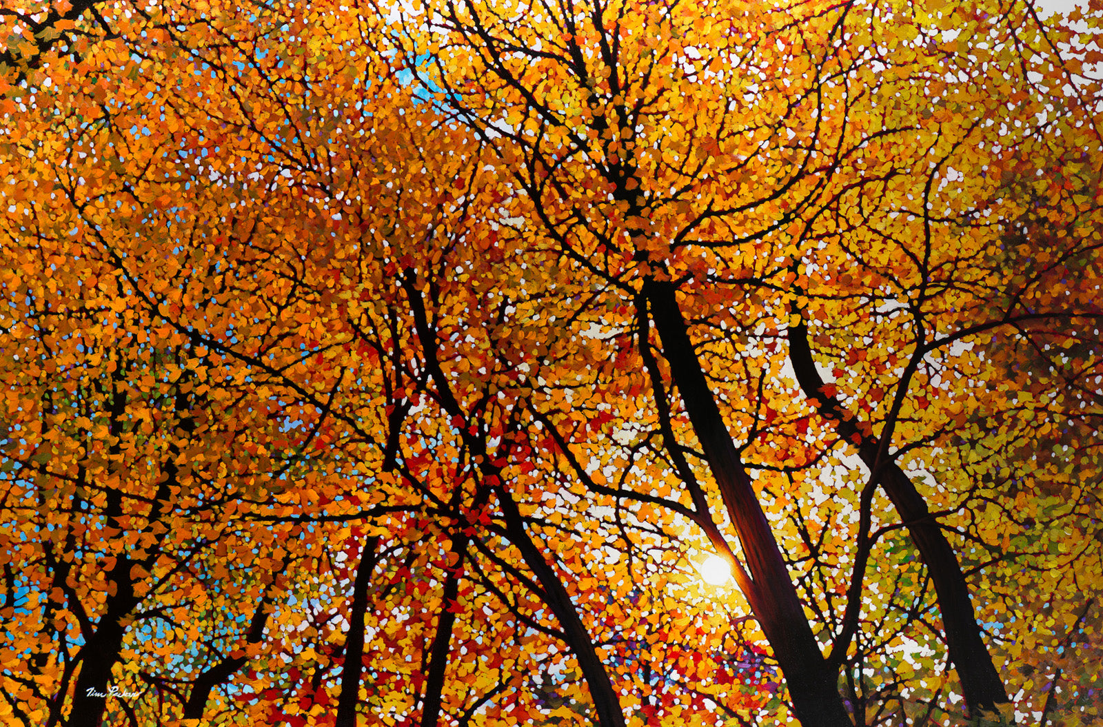 Landscape “Algonquin Sundance” by Tim Packer – giclee on canvas.