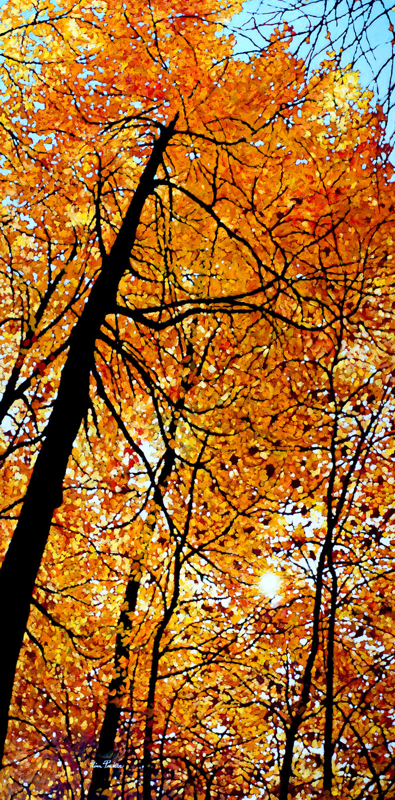 Landscape “Amber Luster” by Tim Packer – giclee on canvas.