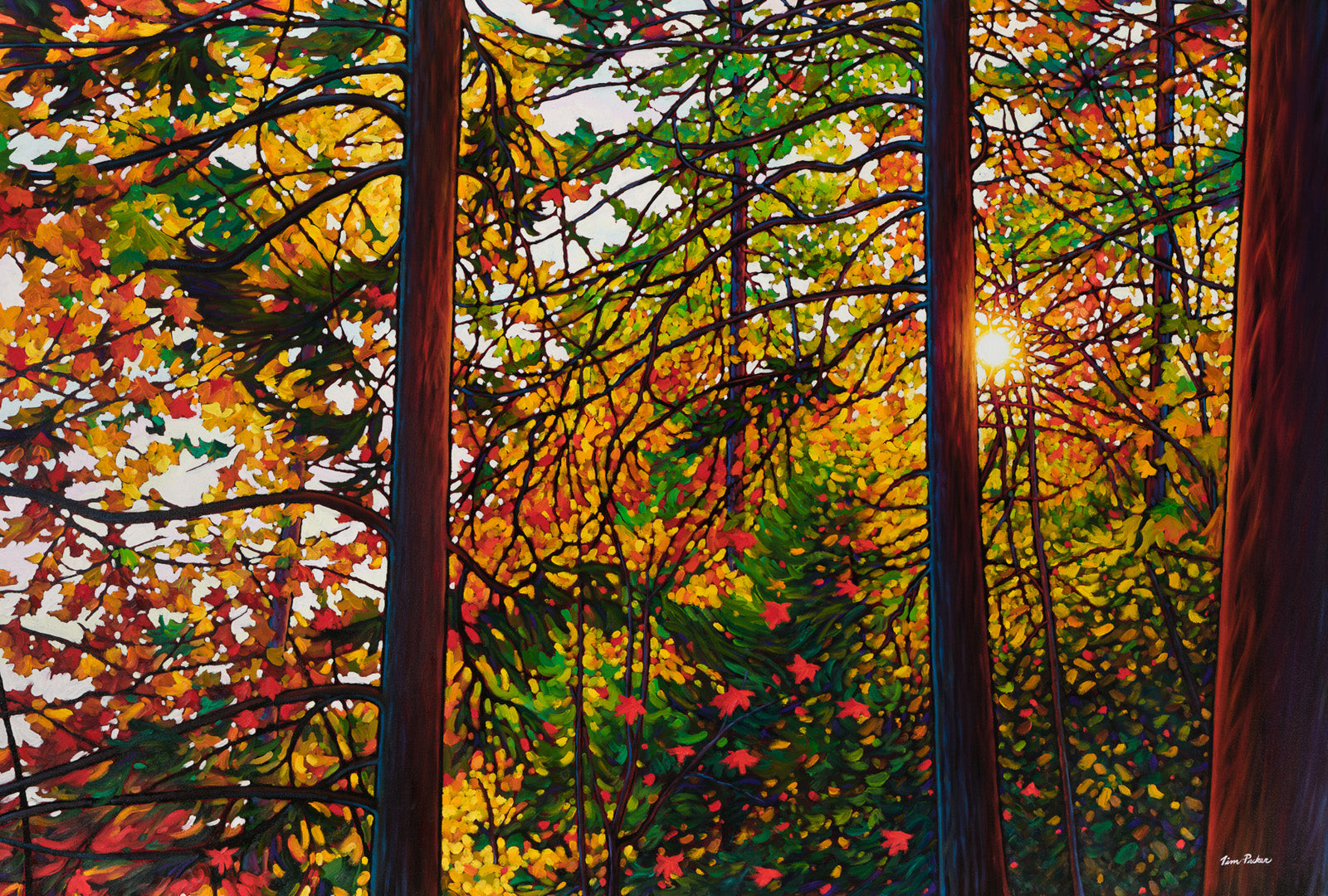 Landscape “Glowing Pines” by Tim Packer – giclee on canvas.