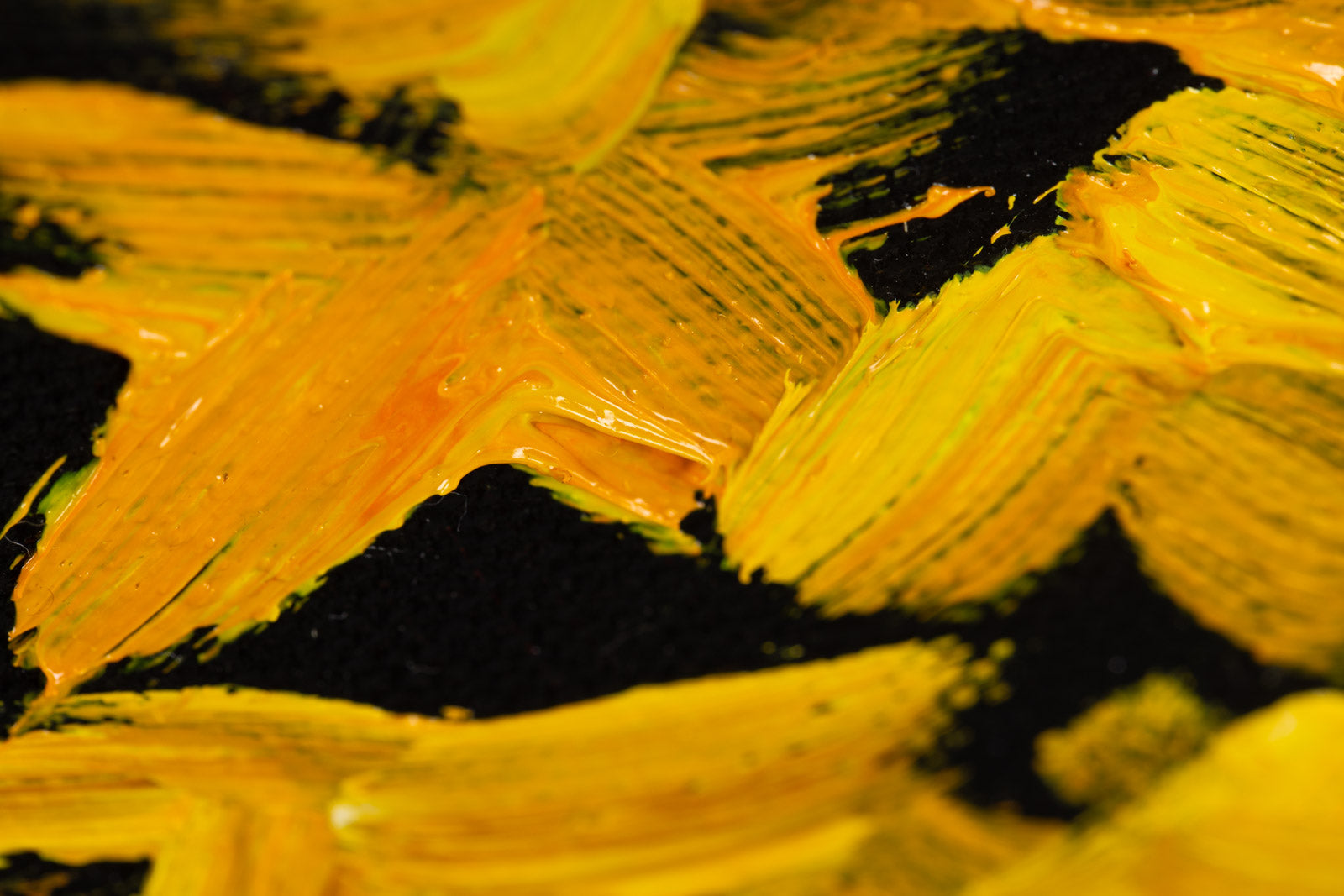 Autumn Gold, Seaton Trail