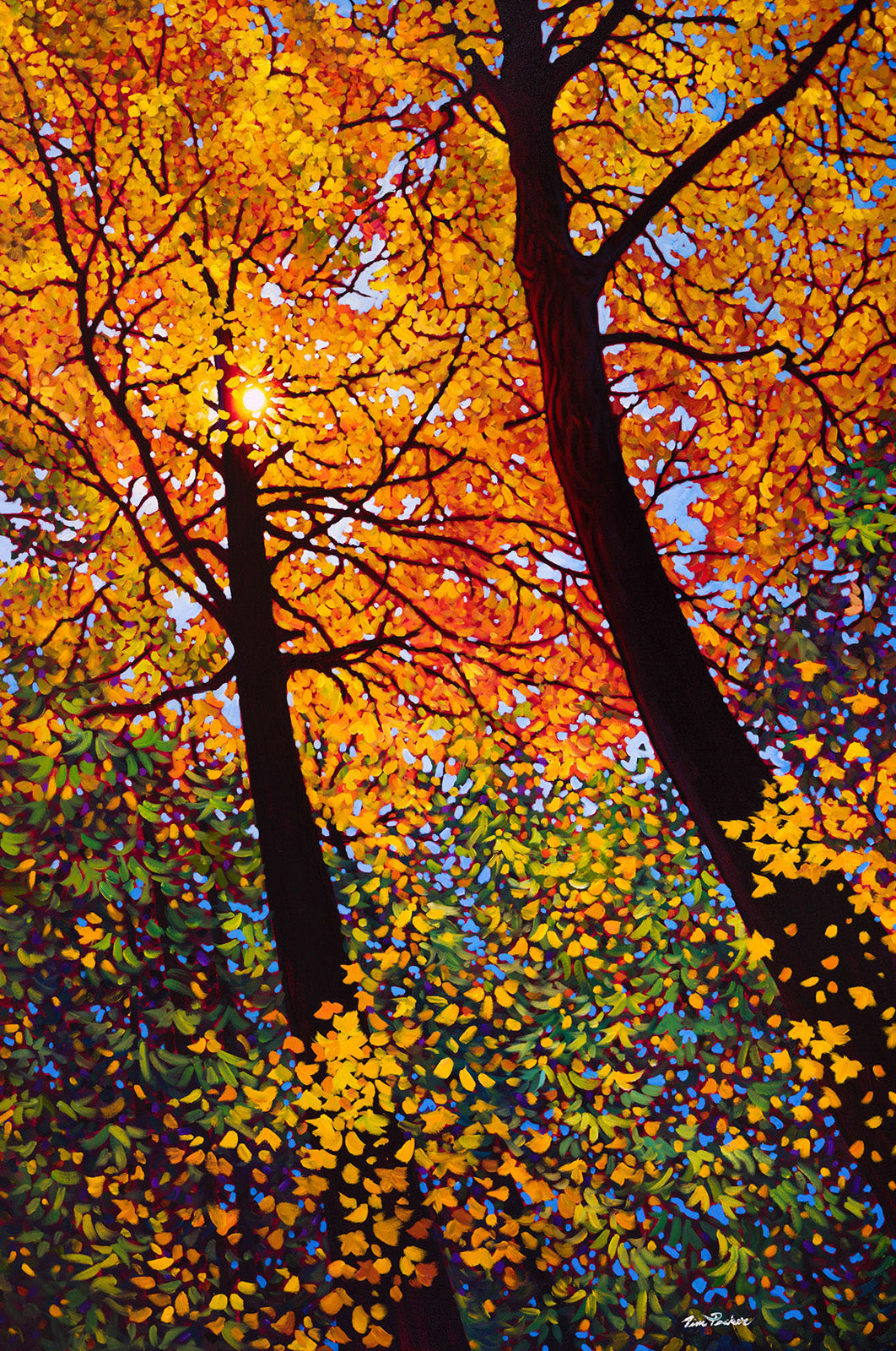Landscape “Autumn Gold, Seaton Trail” by Tim Packer – oil on canvas.