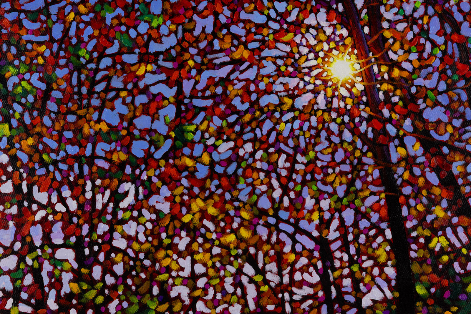 Autumn Sparkle