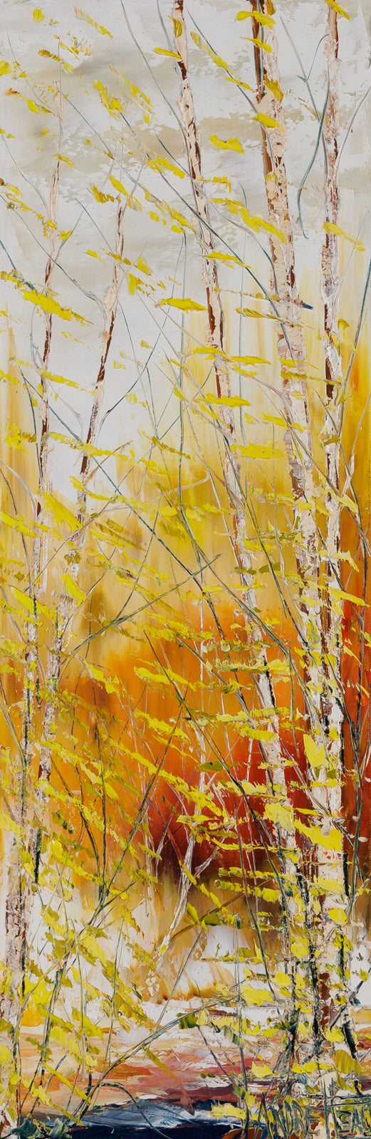 Silence Nature
