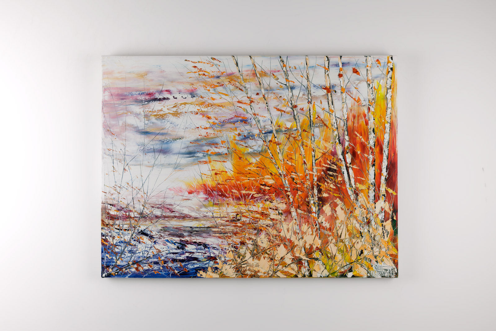 Immersion Dans Les Couleurs