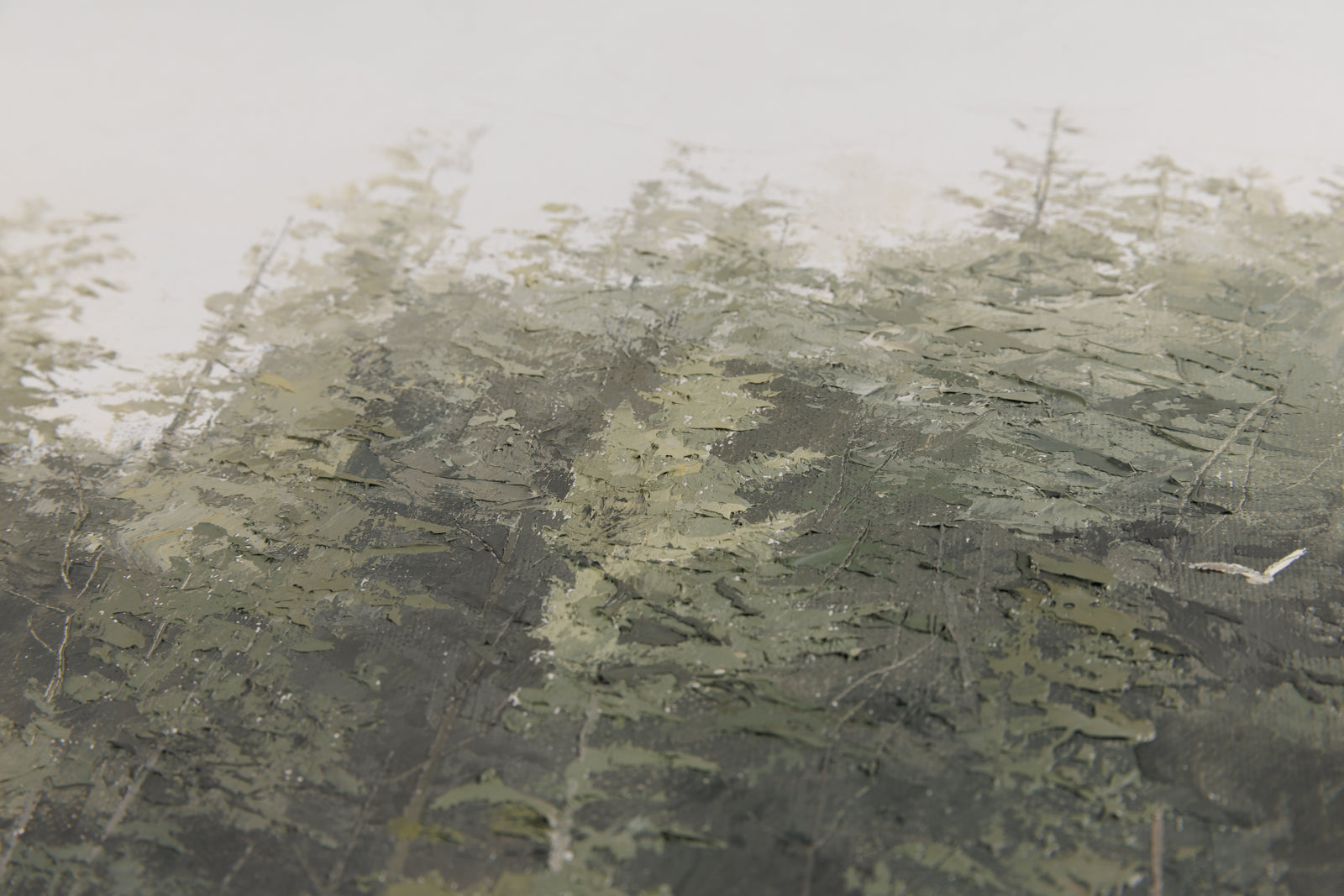 Pine Lake Interlude