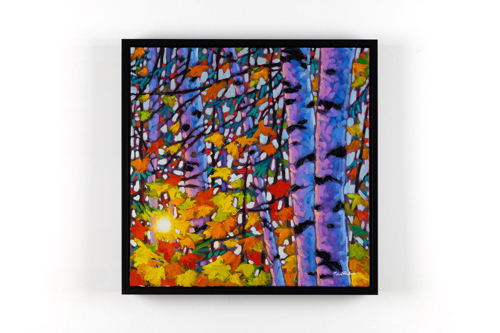 Birch Bonanza