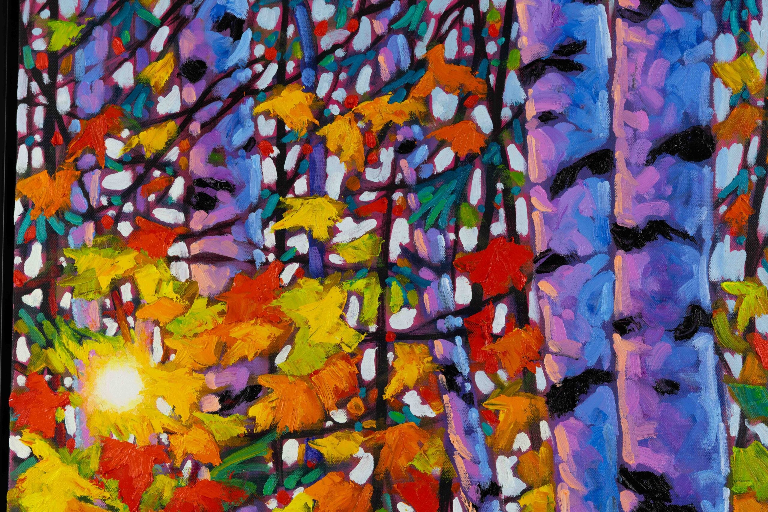 Birch Bonanza