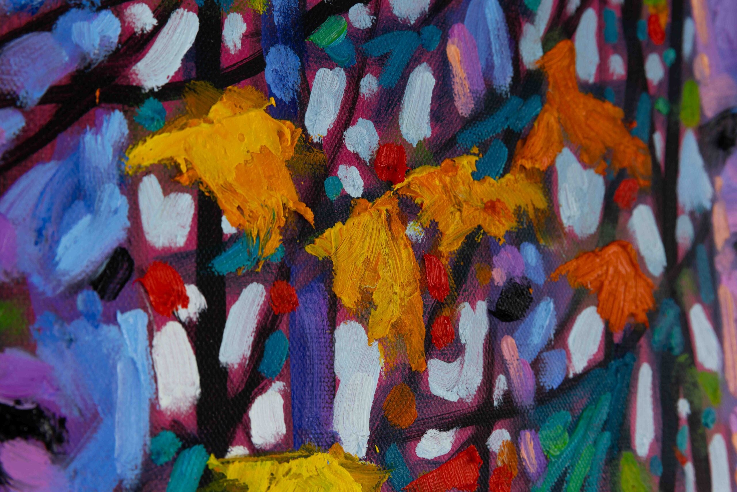 Birch Bonanza