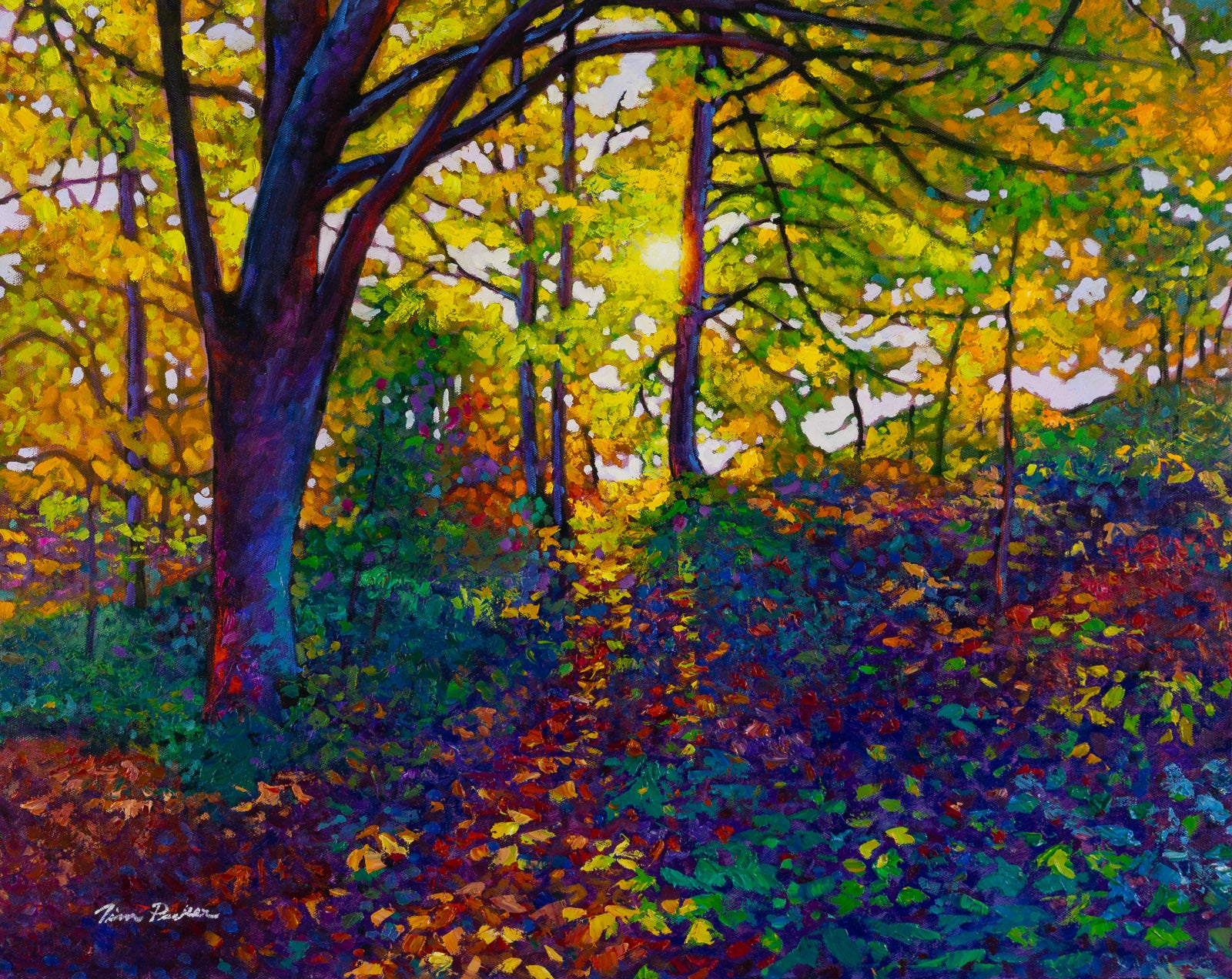 Landscape “Forest Light” by Tim Packer – oil on canvas.