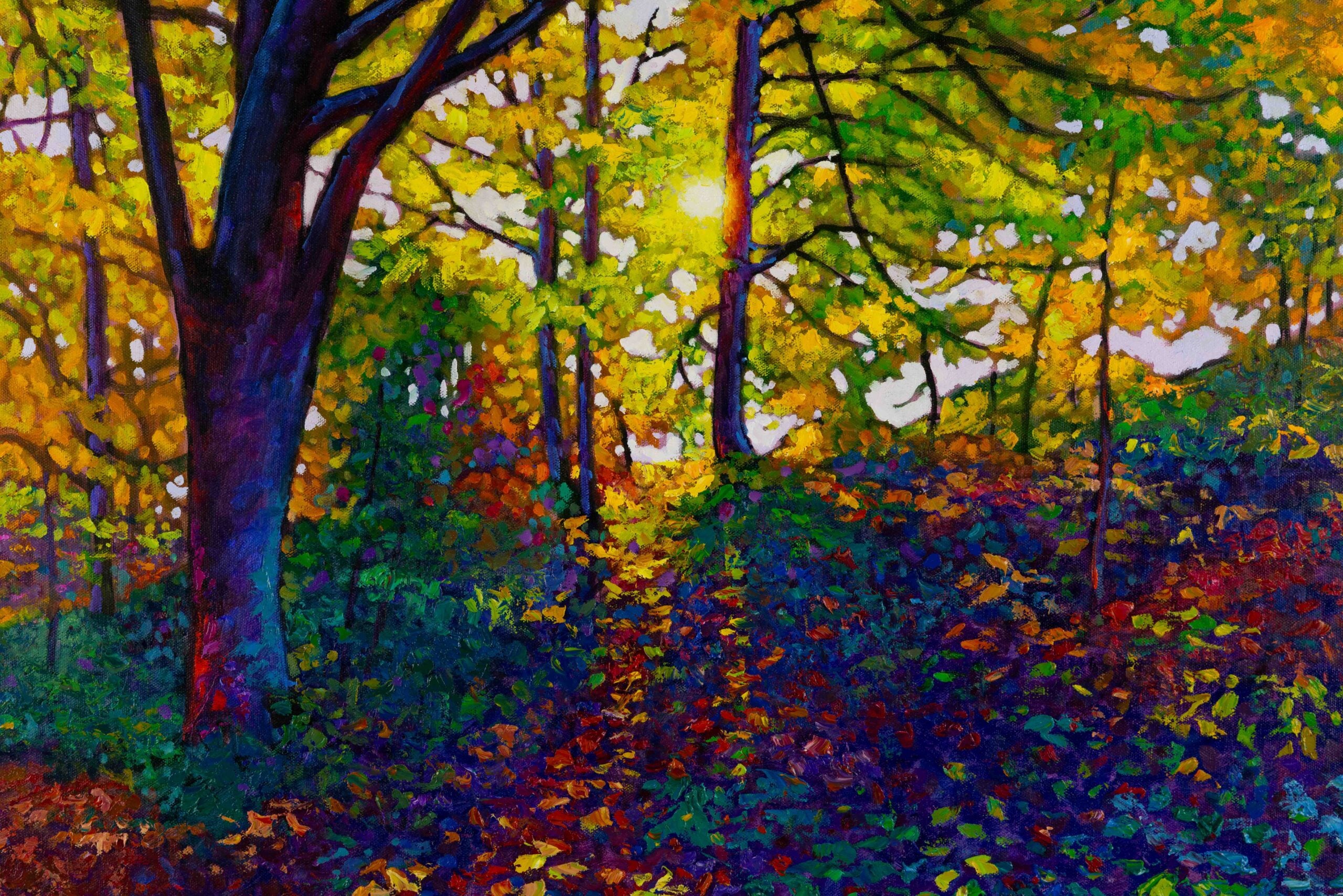 Forest Light