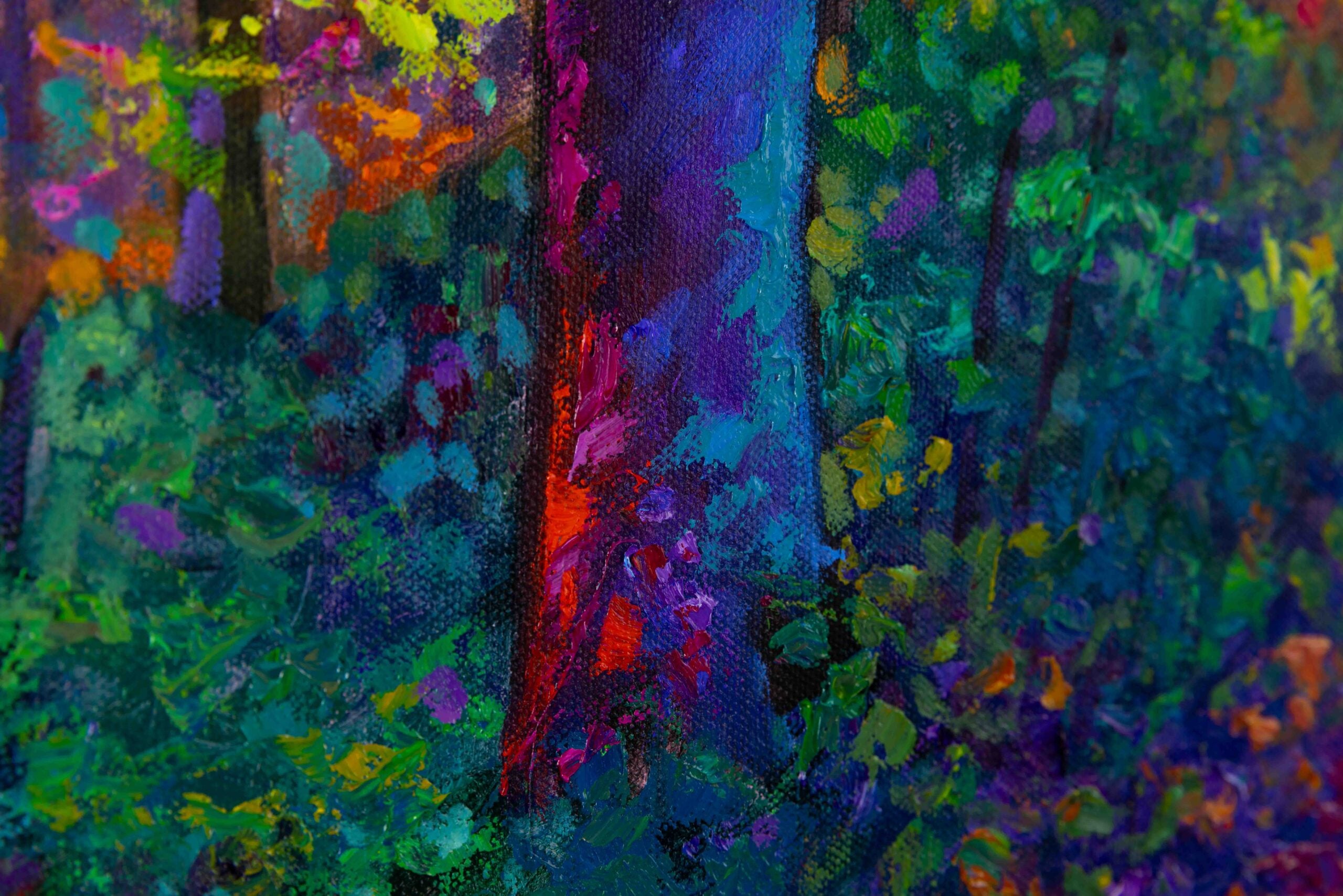 Forest Light