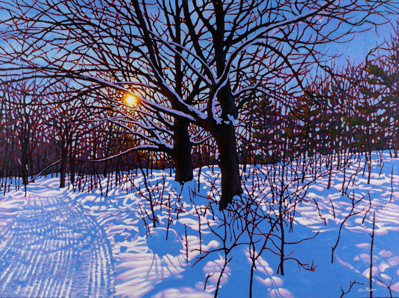 Landscape “Groomed Trail, Cobble Beach” by Tim Packer – oil on canvas.