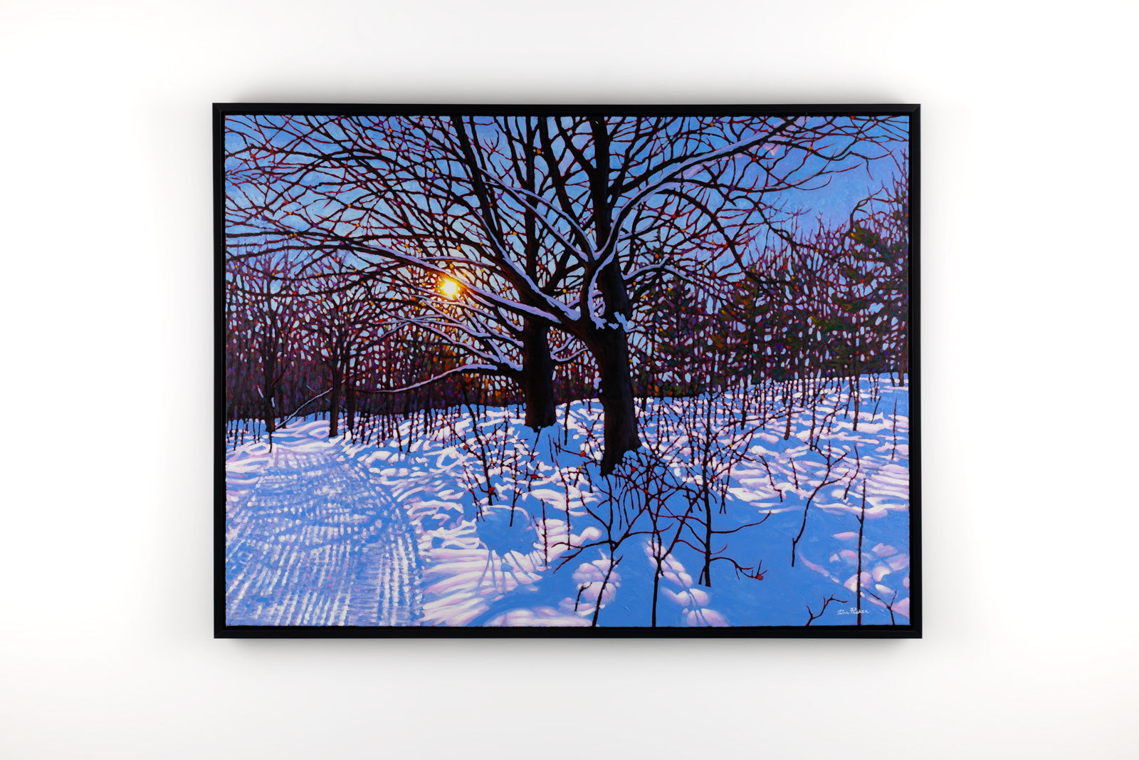 Groomed Trail, Cobble Beach