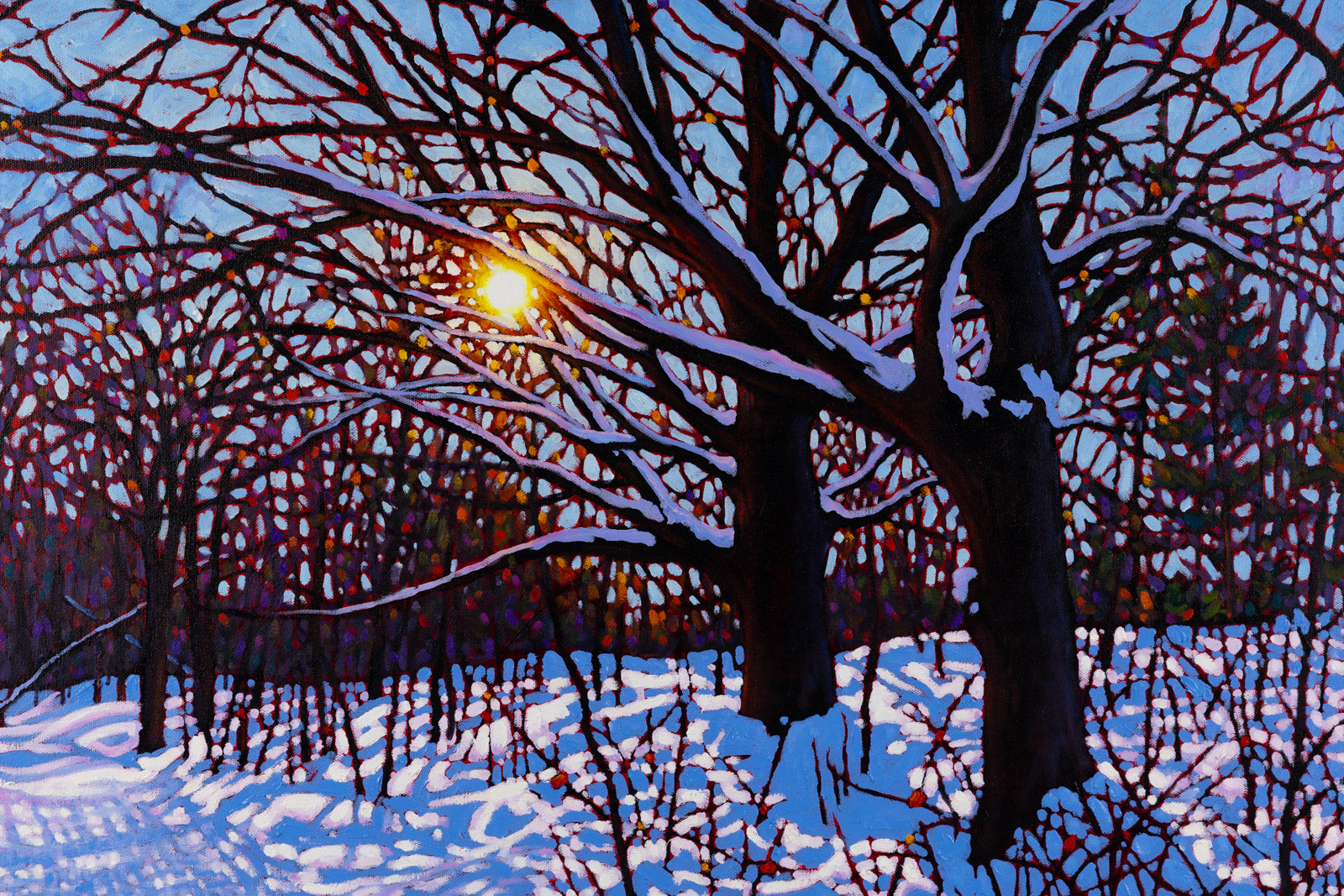 Groomed Trail, Cobble Beach