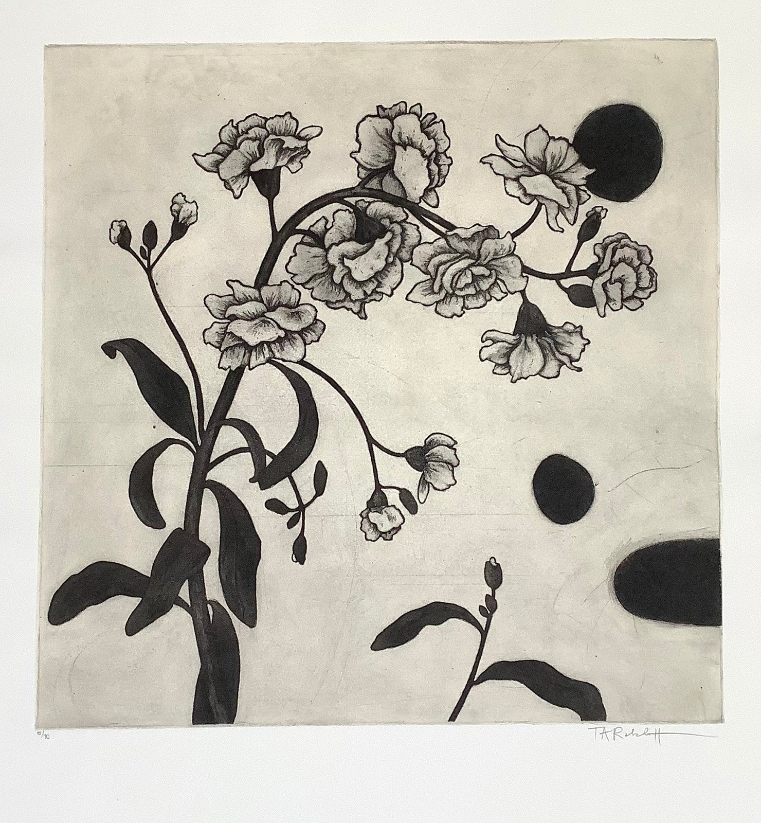 Floral “Stock Flower & Dots” by Tammy Ratcliff – etching with chine colle.