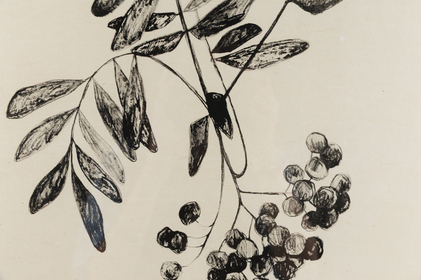 Mountain Ash Berries II