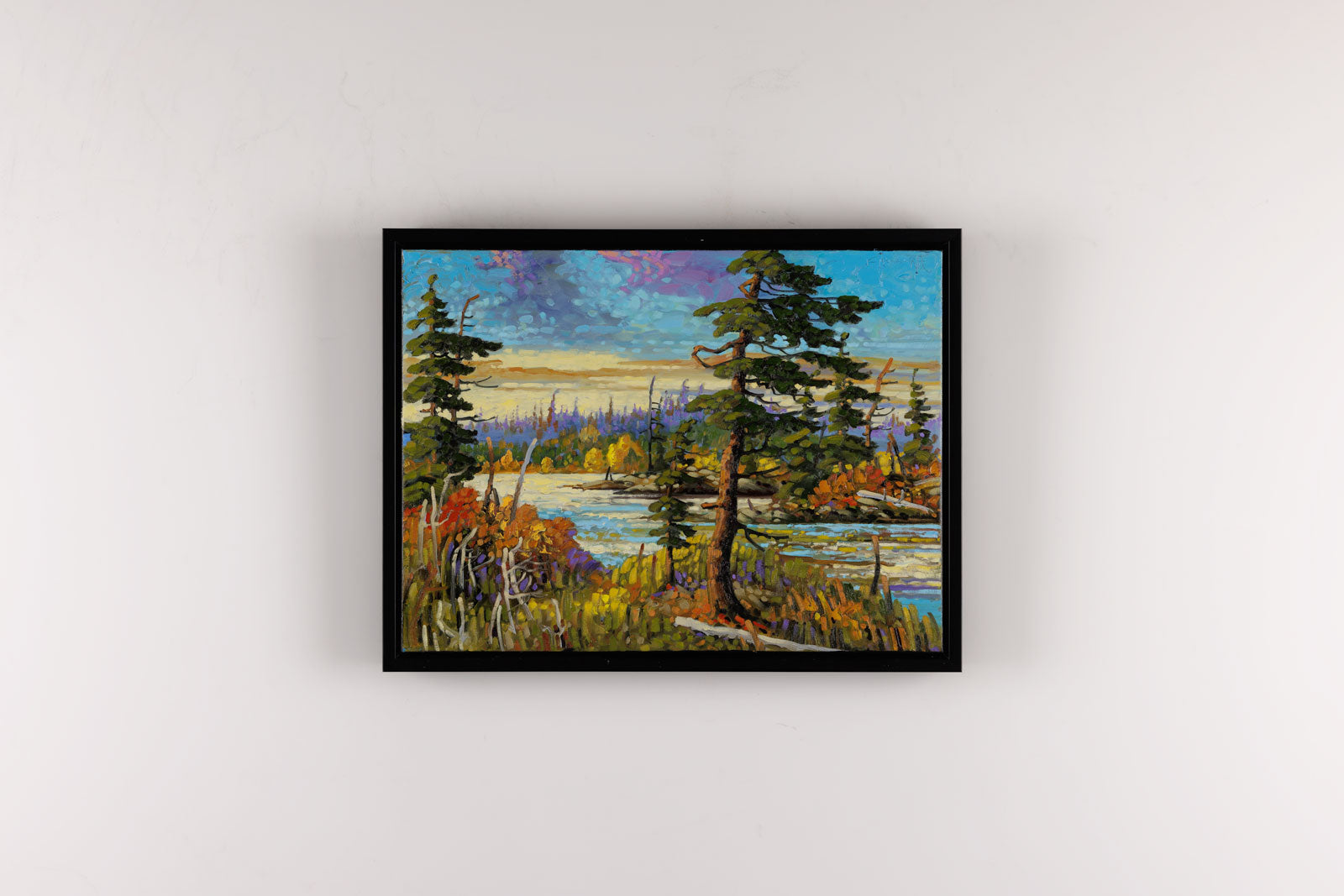 Early Evening Light North Of Kenora