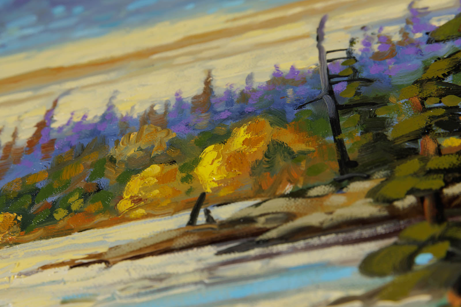 Early Evening Light North Of Kenora