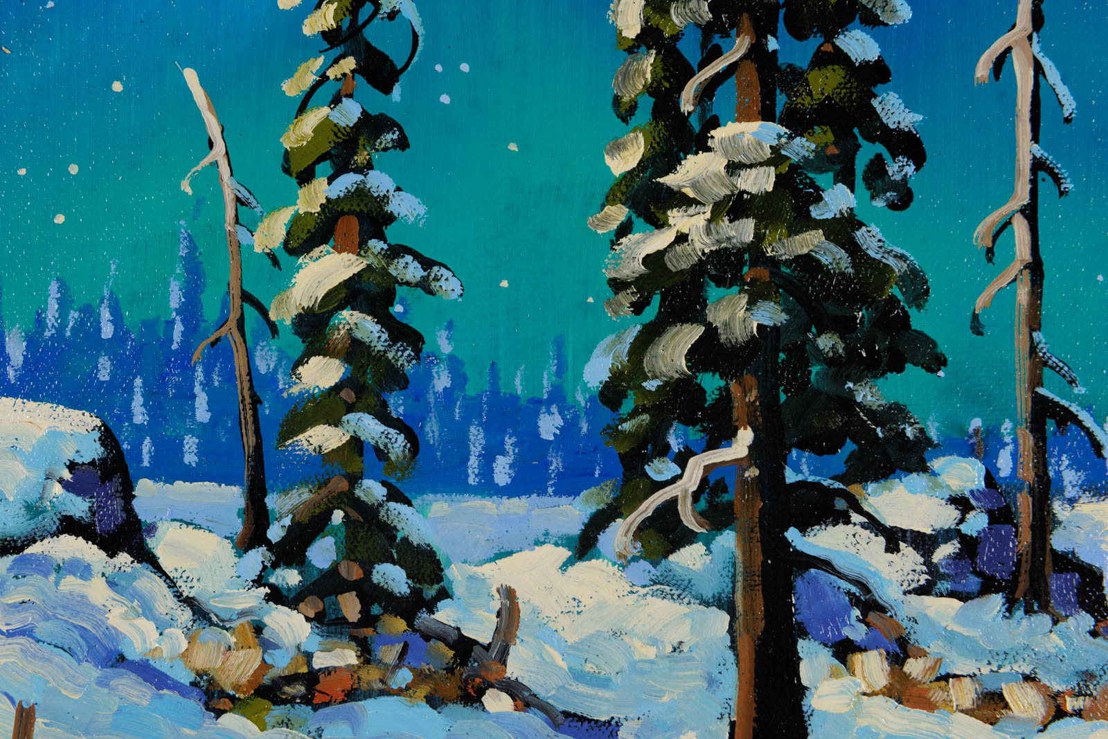 Northern Nights