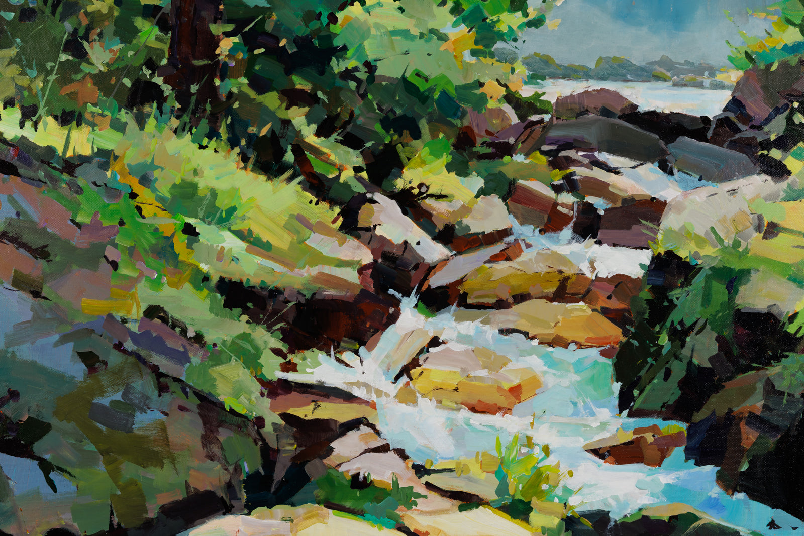 Canopy & Stream