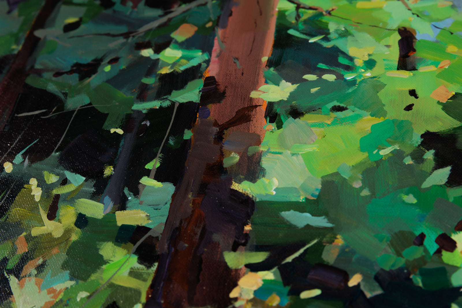 Canopy & Stream