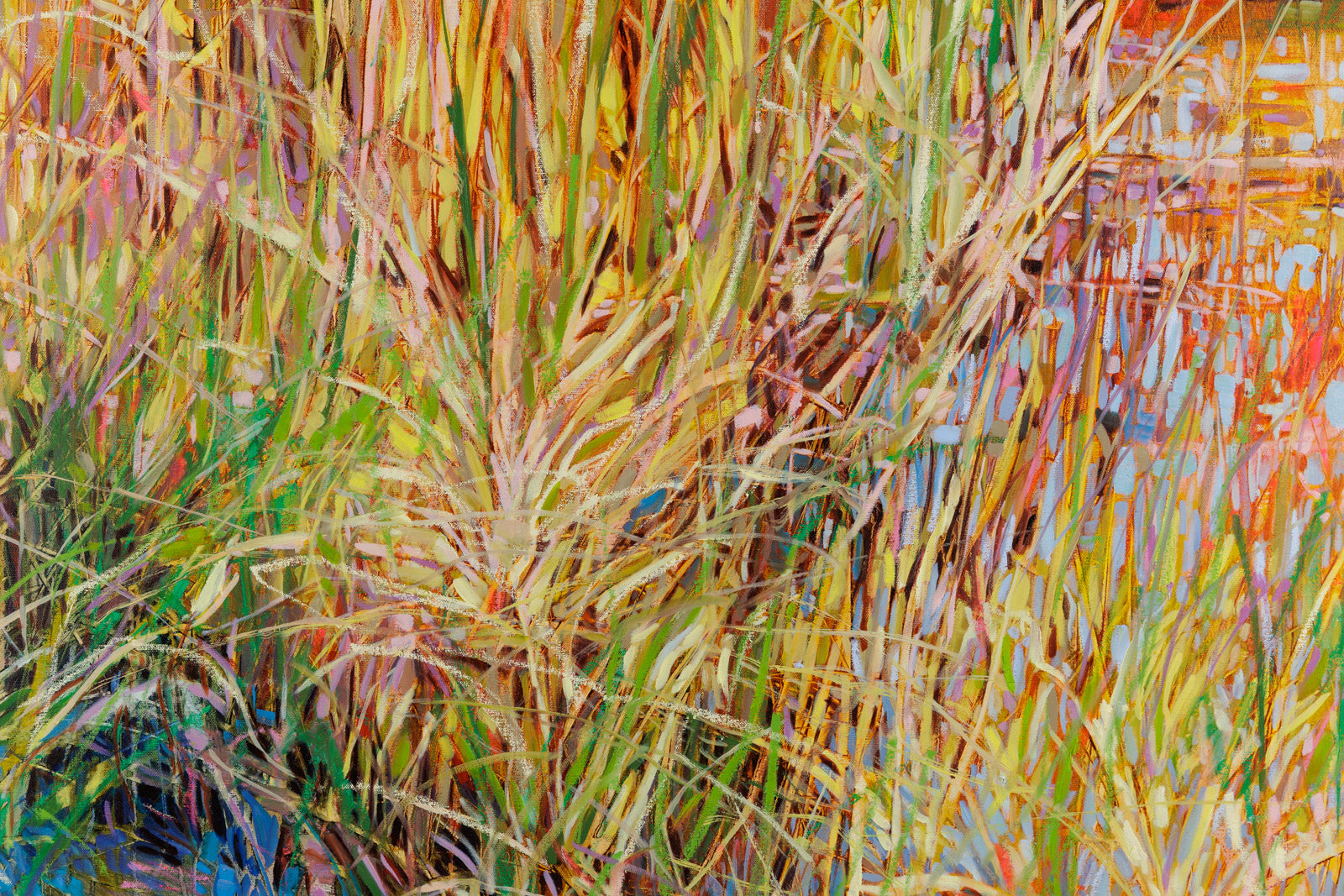 Splendour In The Grass