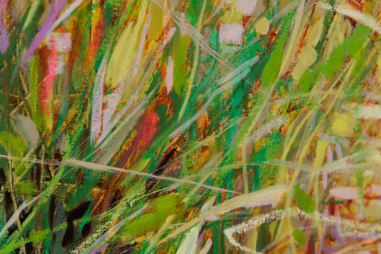 Splendour In The Grass
