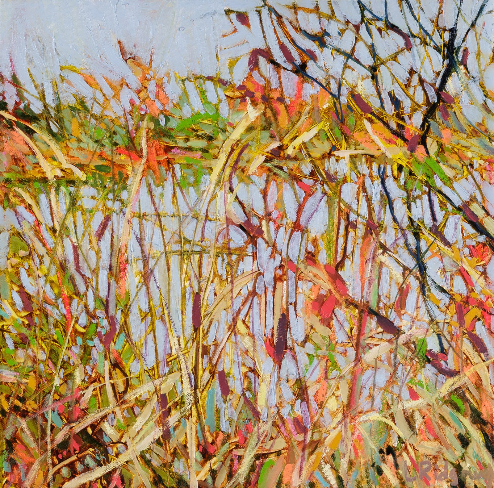 When A Grey Day Isn't