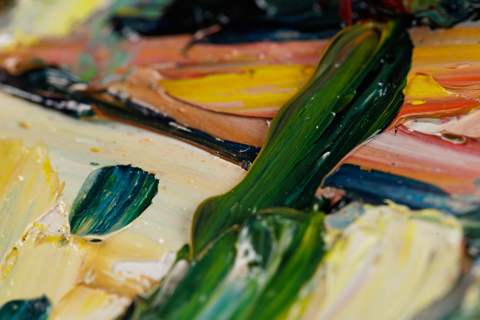 Souvenir De Provence Domaine Souviou