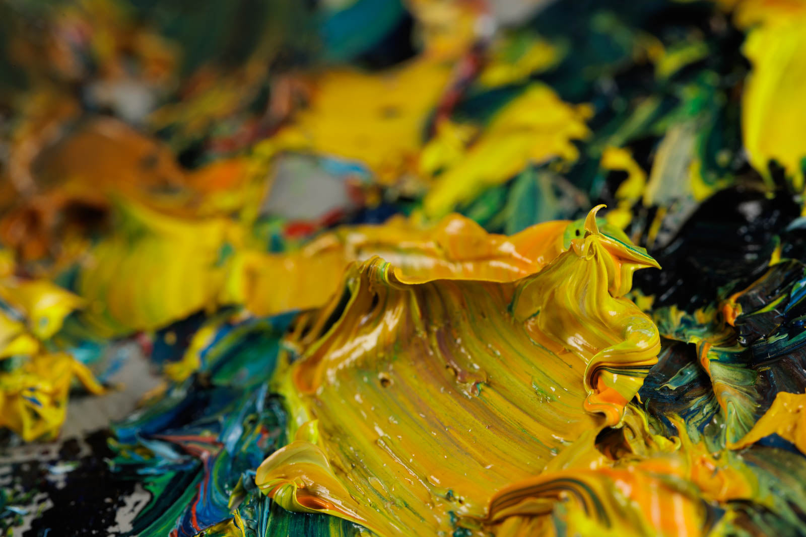 Champs De Tournesols Provence