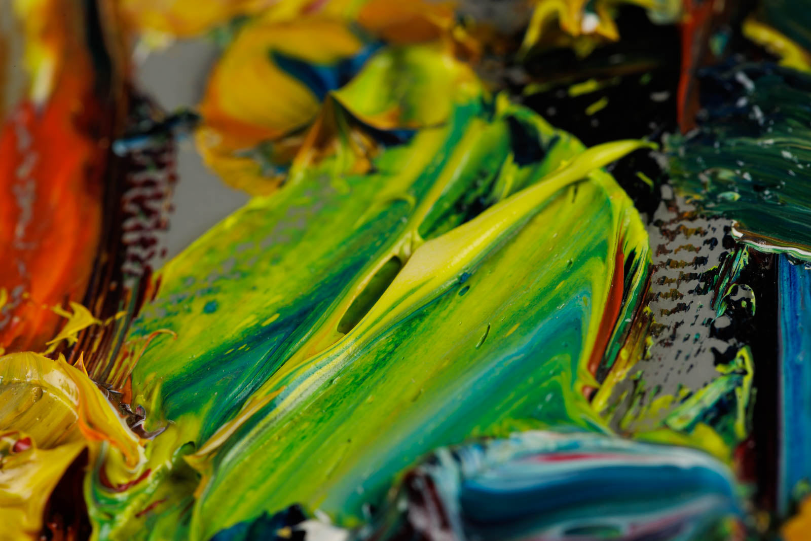 Champs De Tournesols Provence