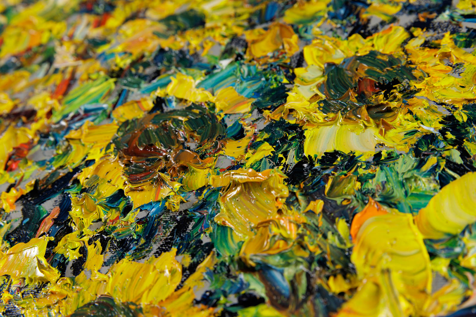 Champs De Tournesols Provence