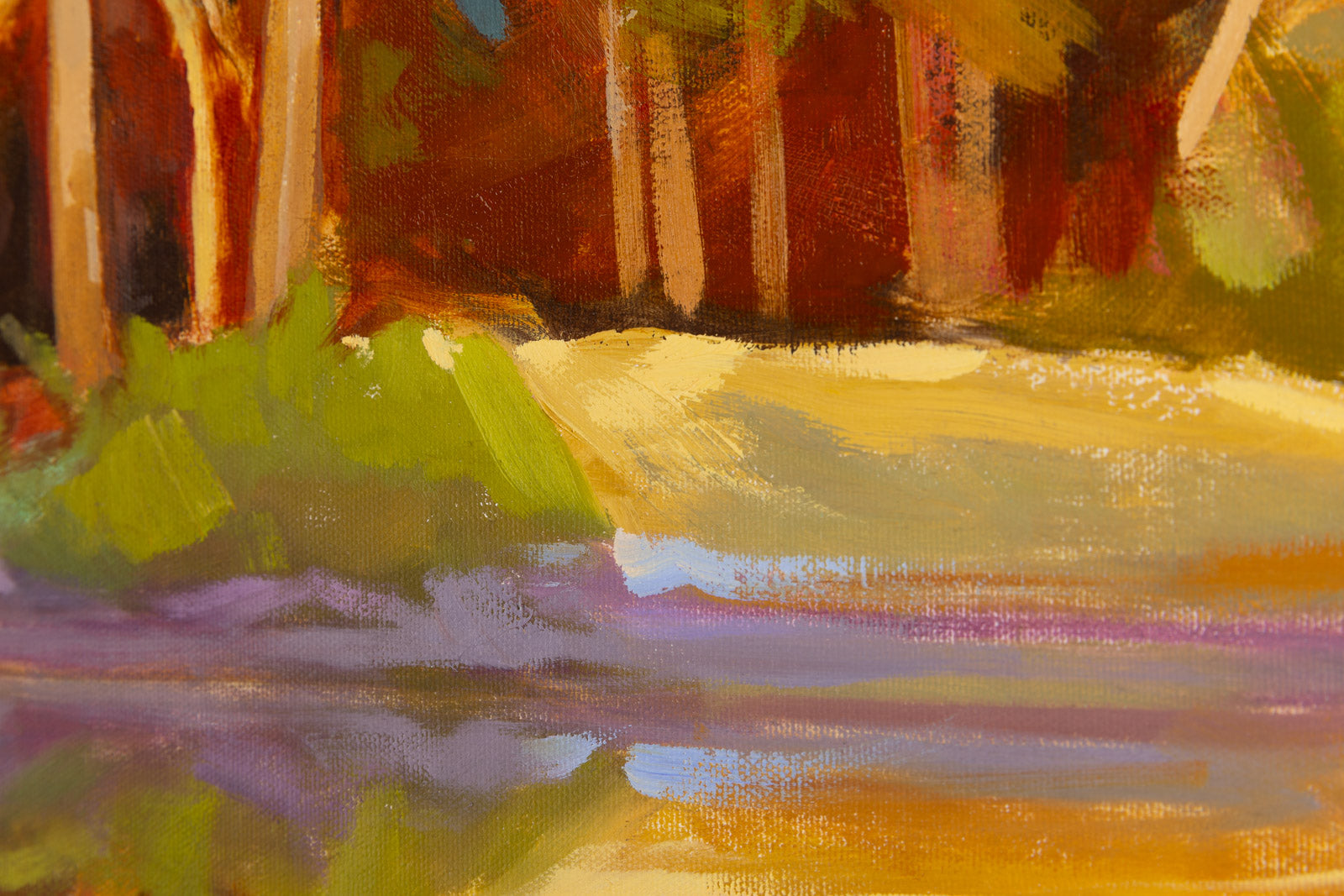 Quetico Reflections