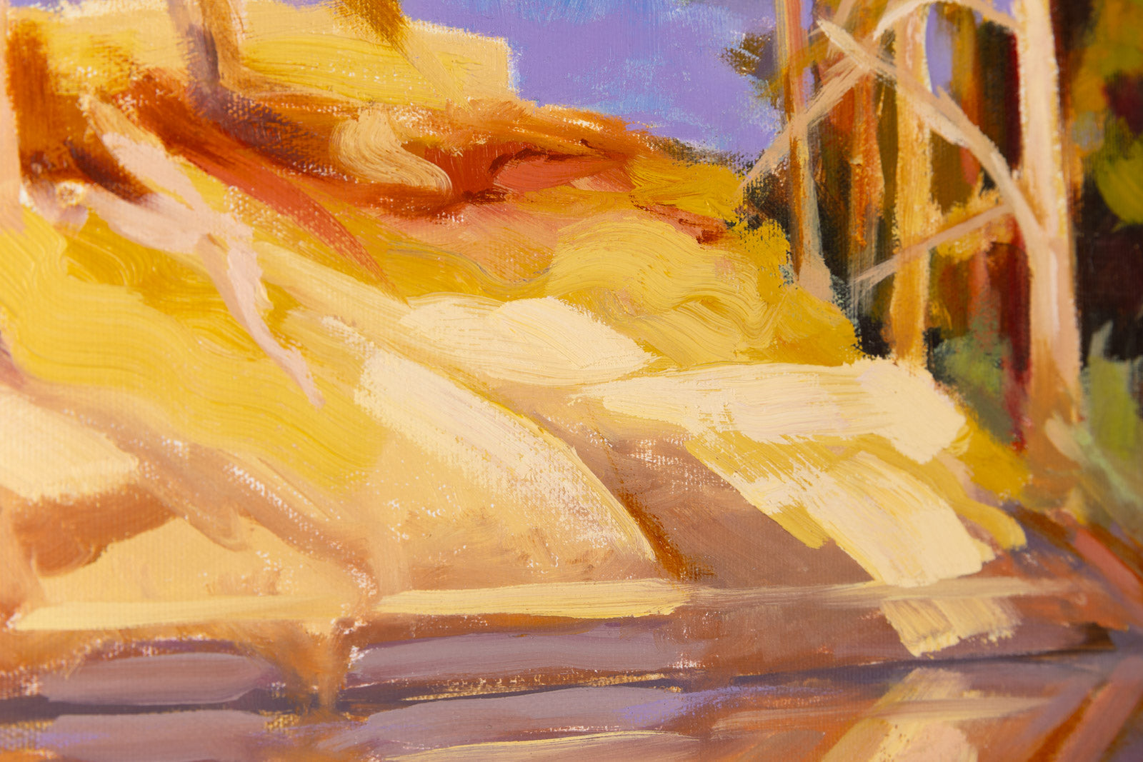 Quetico Reflections