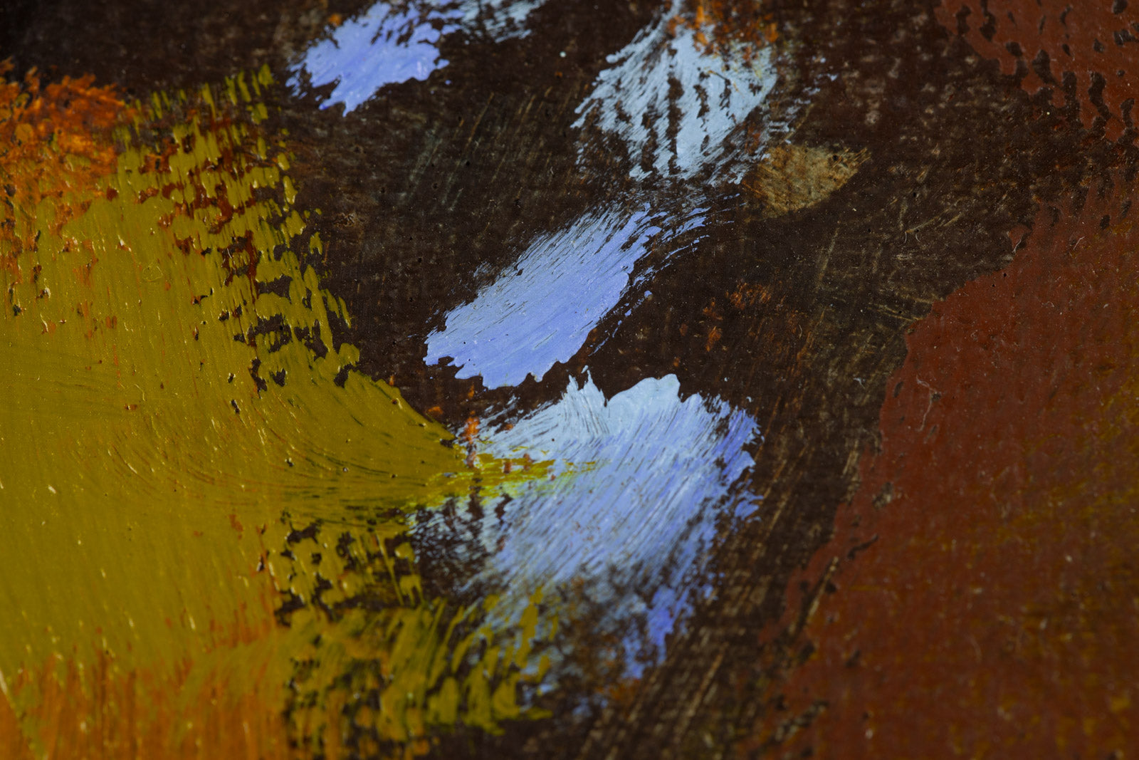 Quetico Reflections