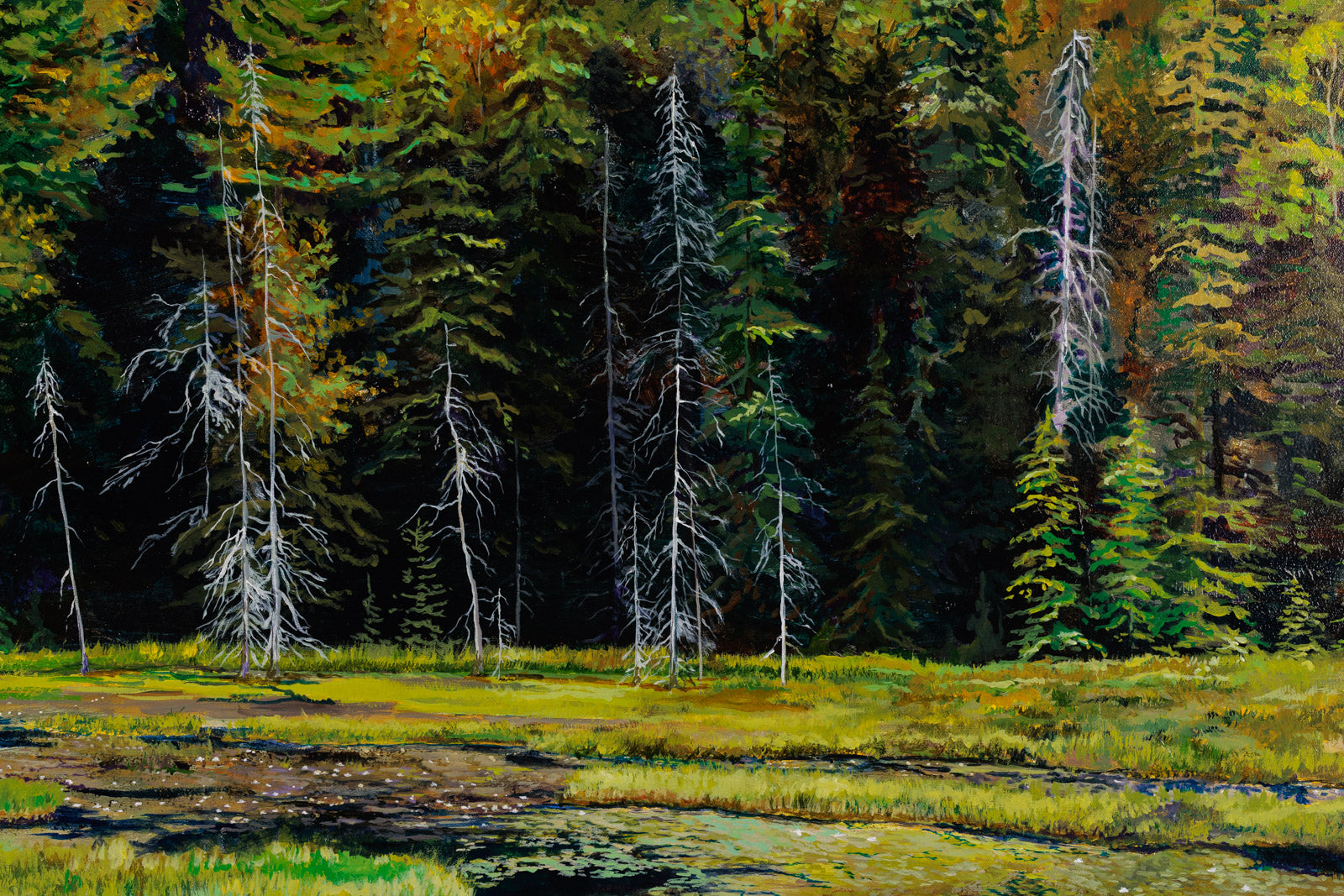 Algonquin Majesty