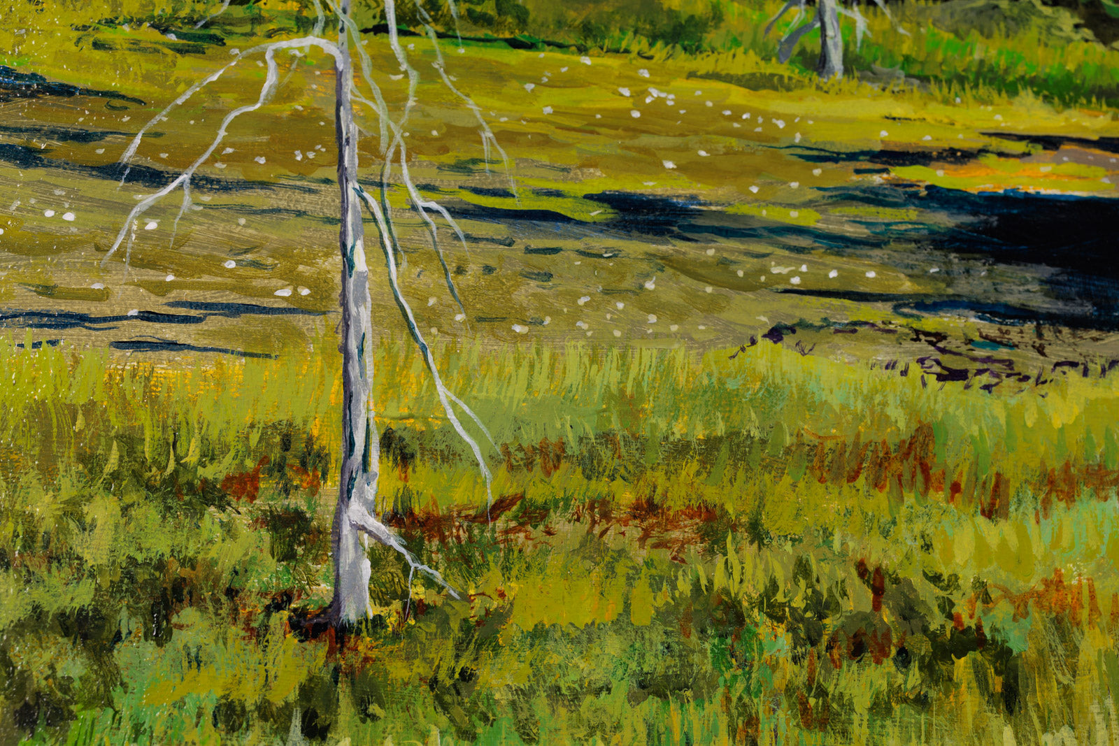 Algonquin Majesty
