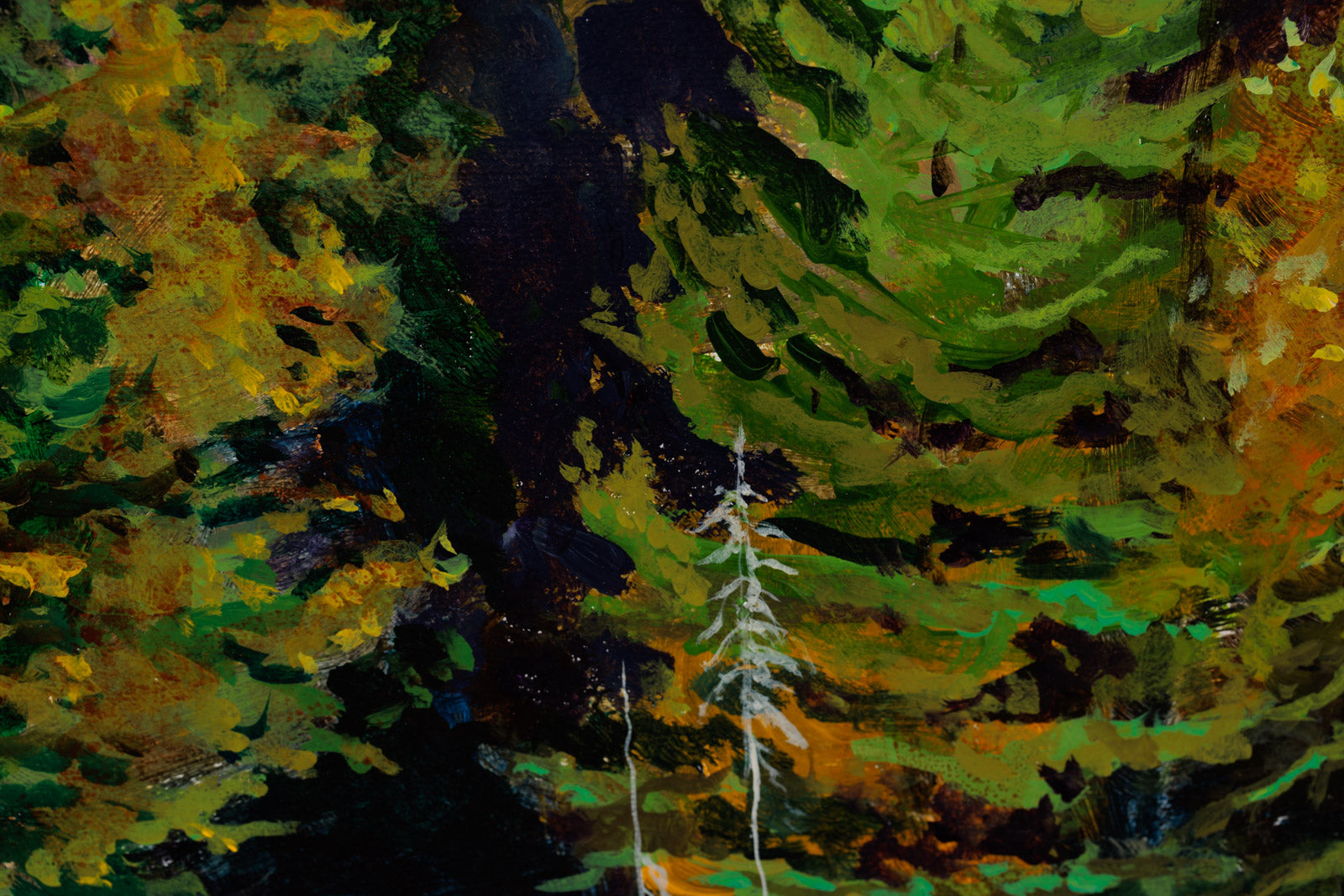 Algonquin Majesty