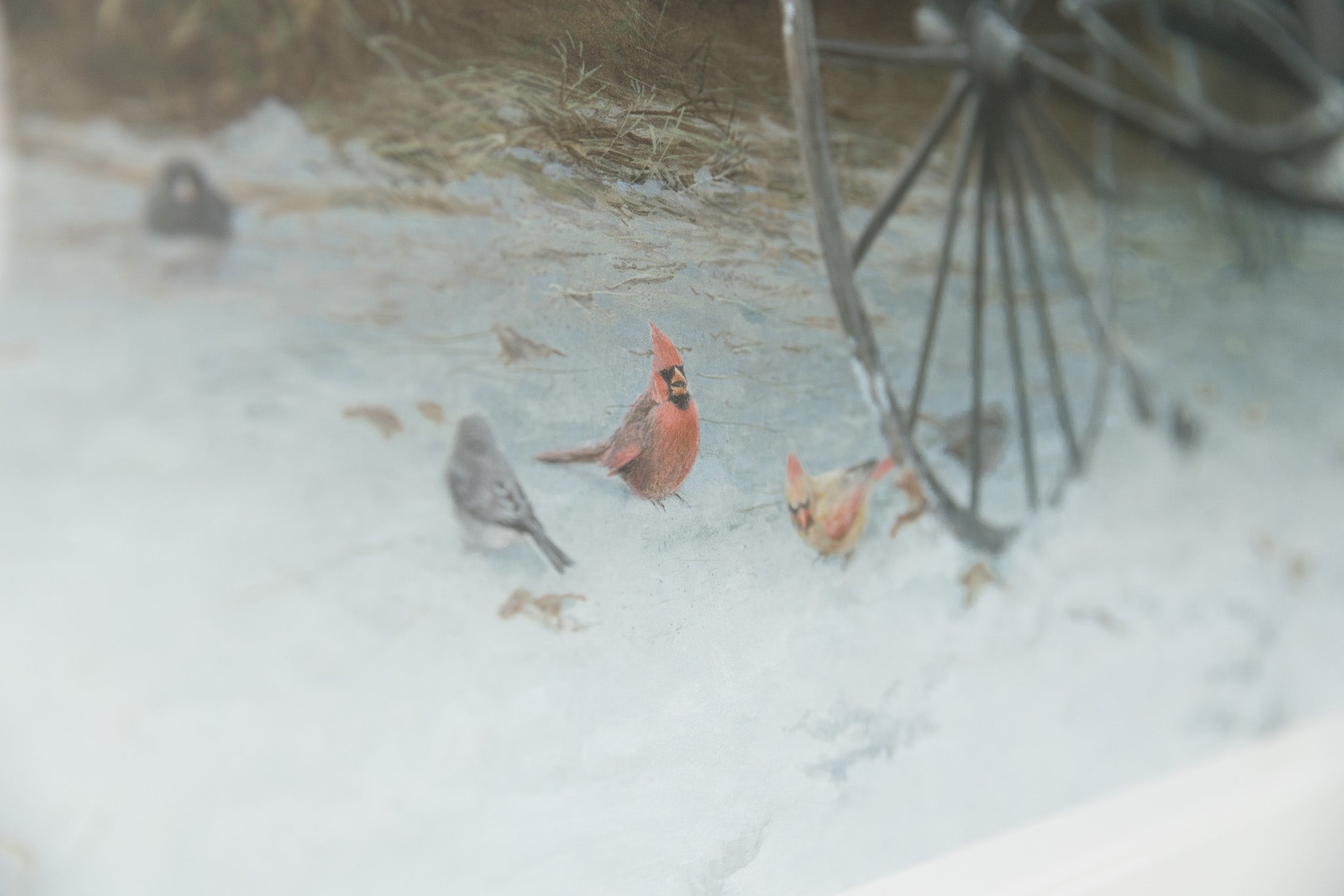 Old Buggy & Winter Birds