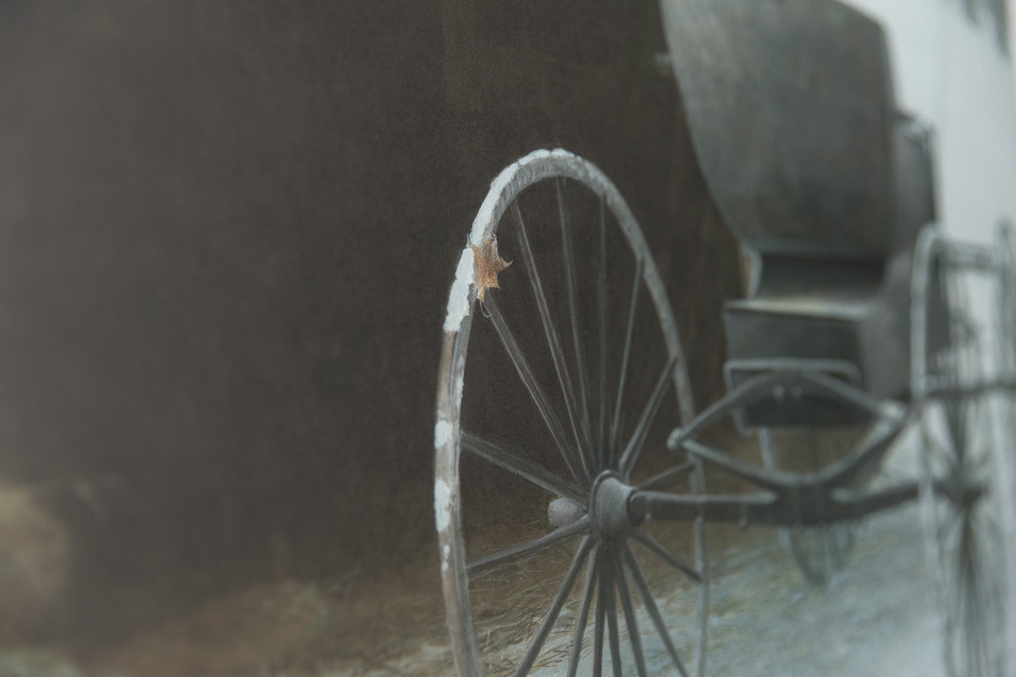 Old Buggy & Winter Birds