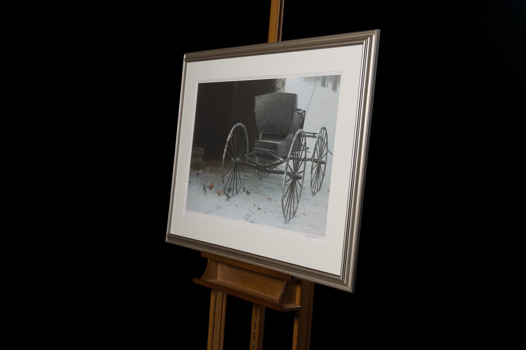 Old Buggy & Winter Birds
