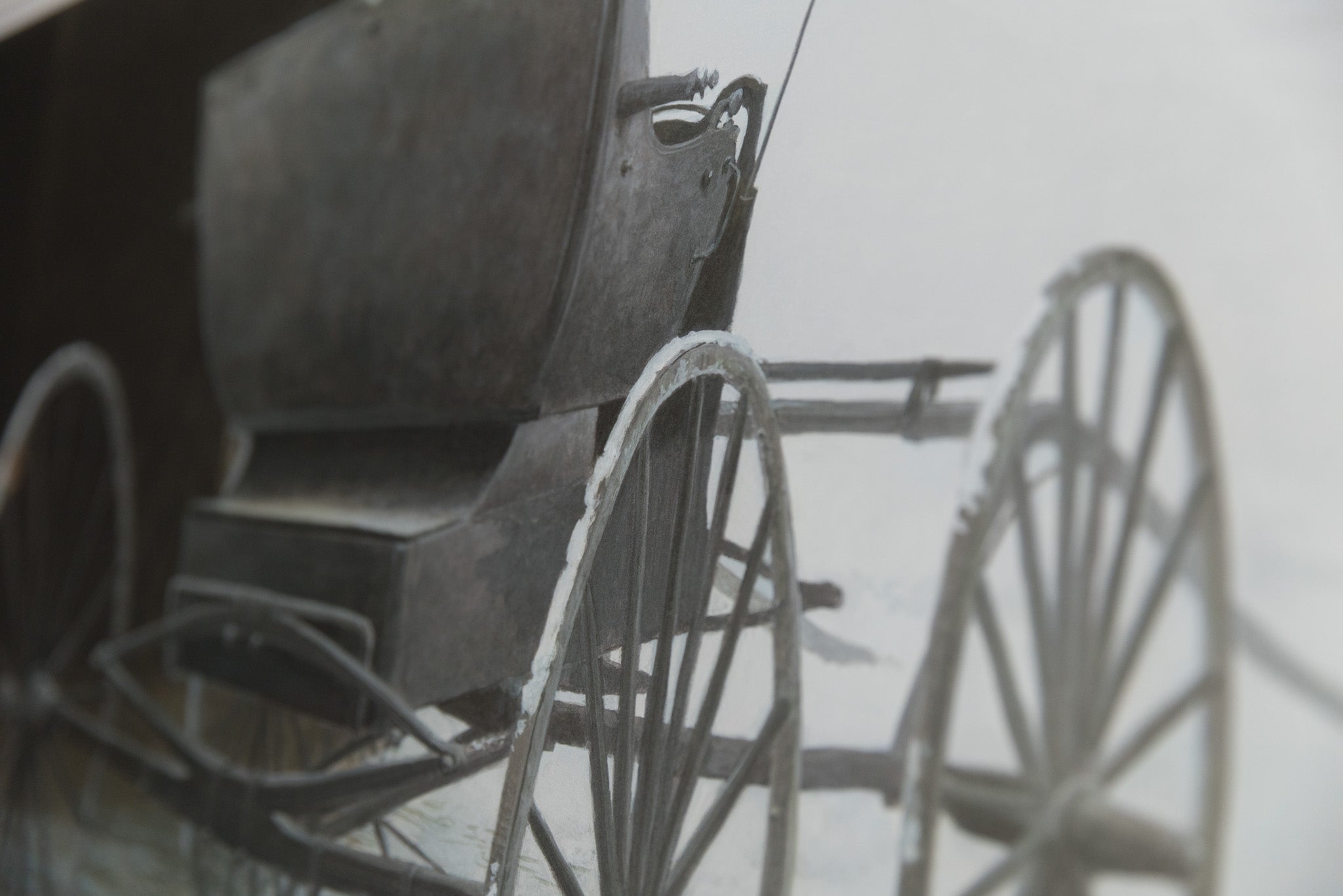 Old Buggy & Winter Birds