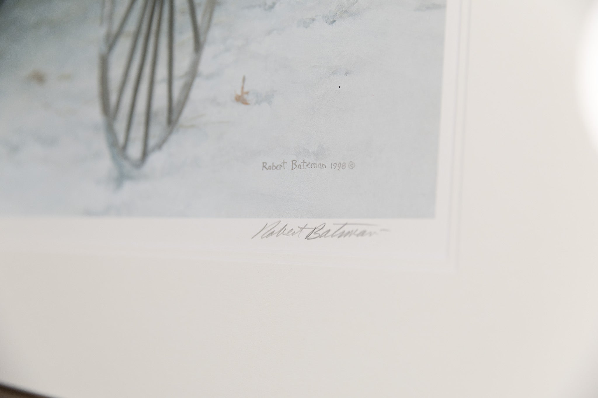 Old Buggy & Winter Birds